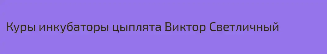 Куры инкубаторы цыплята Виктор Светличный